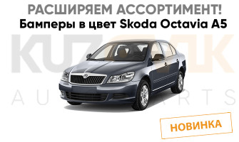 Расширяем ассортимент Skoda Octavia